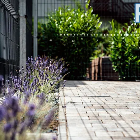 Pusszantalak Apartmán