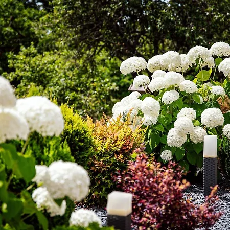 Pusszantalak * Paloznak