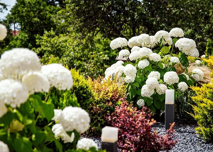 Pusszantalak * 펄로즈너크